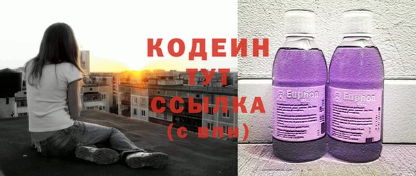СК Снежногорск