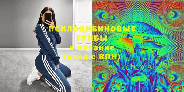 ГАЛЛЮЦИНОГЕННЫЕ ГРИБЫ Балахна