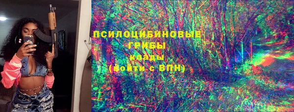 ГАЛЛЮЦИНОГЕННЫЕ ГРИБЫ Балахна